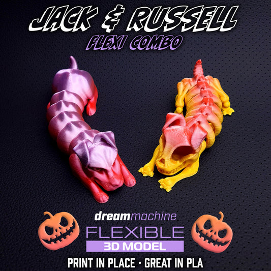 Jack & Russel Combo